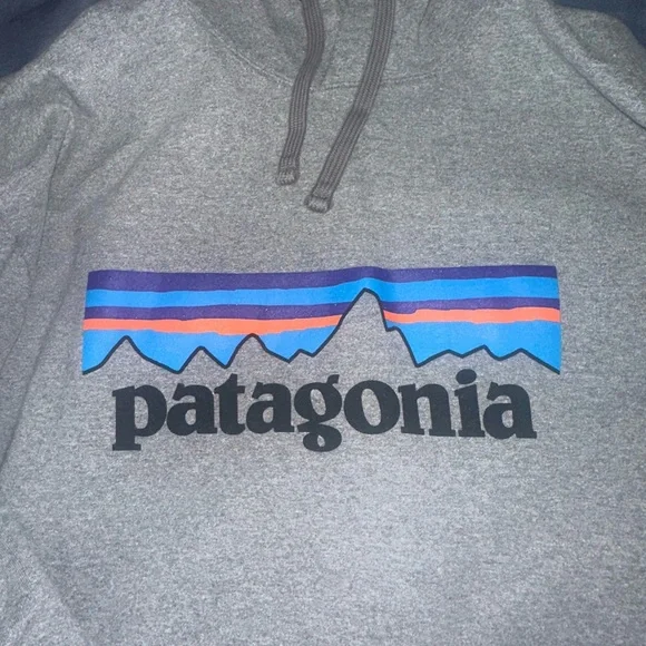 Patagonia Gray Hoodie with Blue and Red Accents - Picture 2 of 4